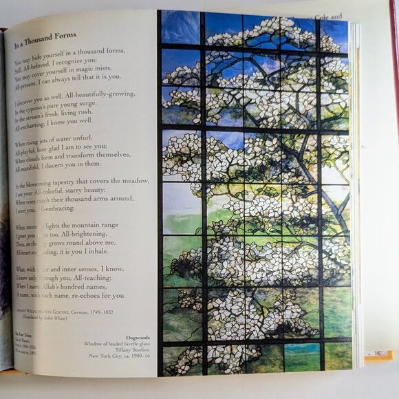 Visionary Poetry Book ART & WONDER illustrated occult surreal angel zodiac poems - Picture 7 of 15